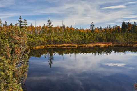 Gemeinde Lindberg Landkreis Regen Latschensee Schachtenwanderung (Dirschl Johann) Deutschland REG